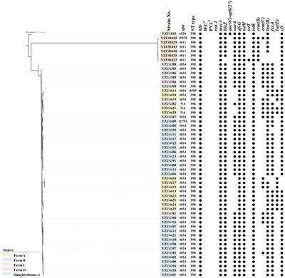 The prevalence of Staphylococcus aureus and the emergence of livestock-associated MRSA CC398 in pig production in eastern China